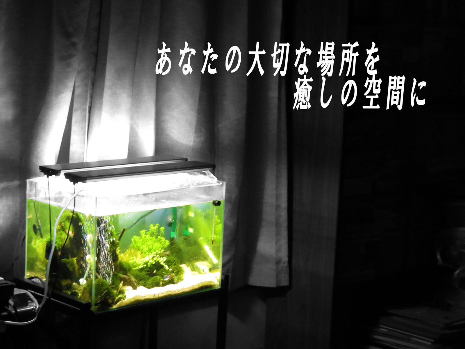 あいさつトップ画像