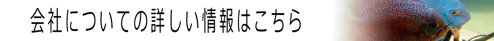 会社情報バナー