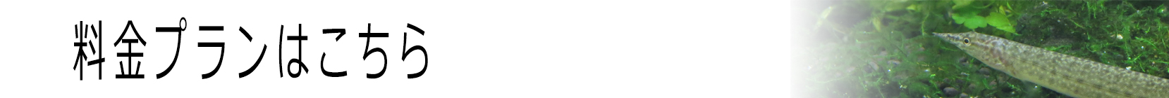 料金プランバナー